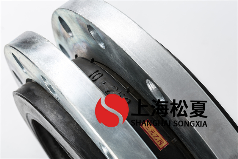 DN250立式增压泵香蕉视频污版APP的应用你了解吗？
