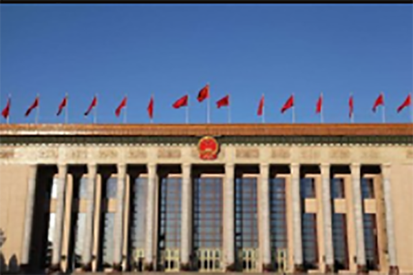 案例图